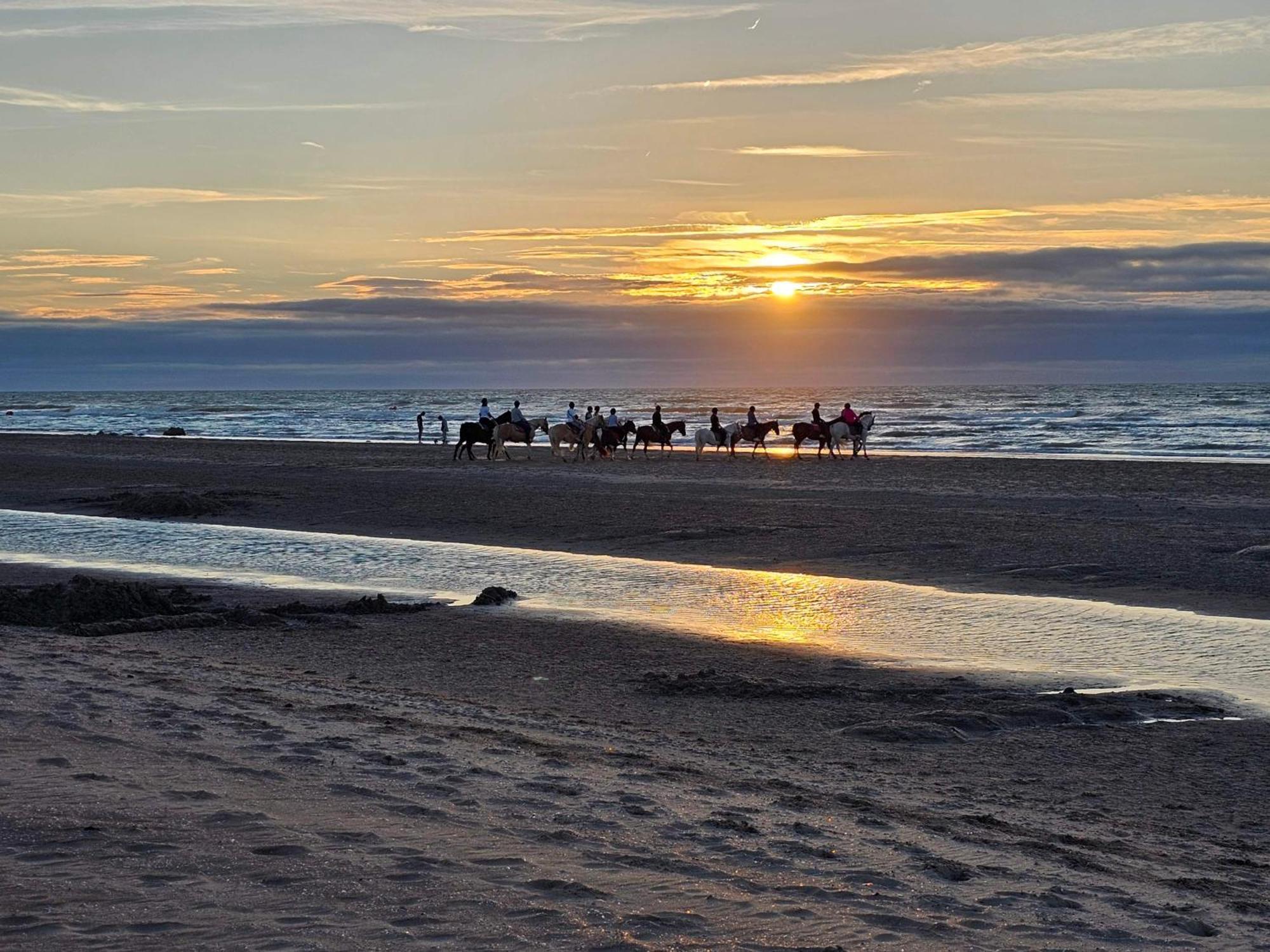 Apartmán Cote A L'Oostduinkerke Met Gratis Garage Exteriér fotografie